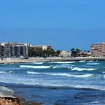 Vinas Торевьиа